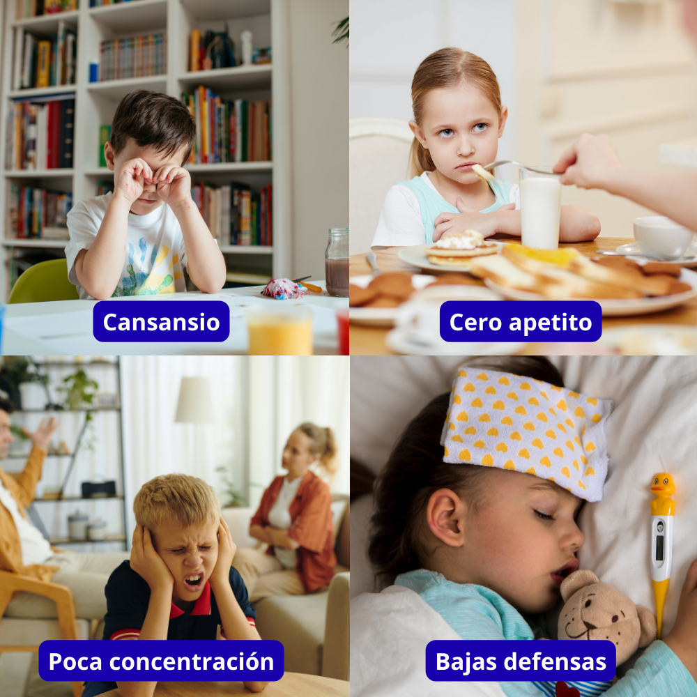 60 Gomitas con Moringa para Niños BioKids™ | Refuerza Defensas, Energía y Desarrollo + 🎁 Guía “10 Hábitos Naturales para Fortalecer las Defensas y la Energía de tu Hijo” + Envío Gratis