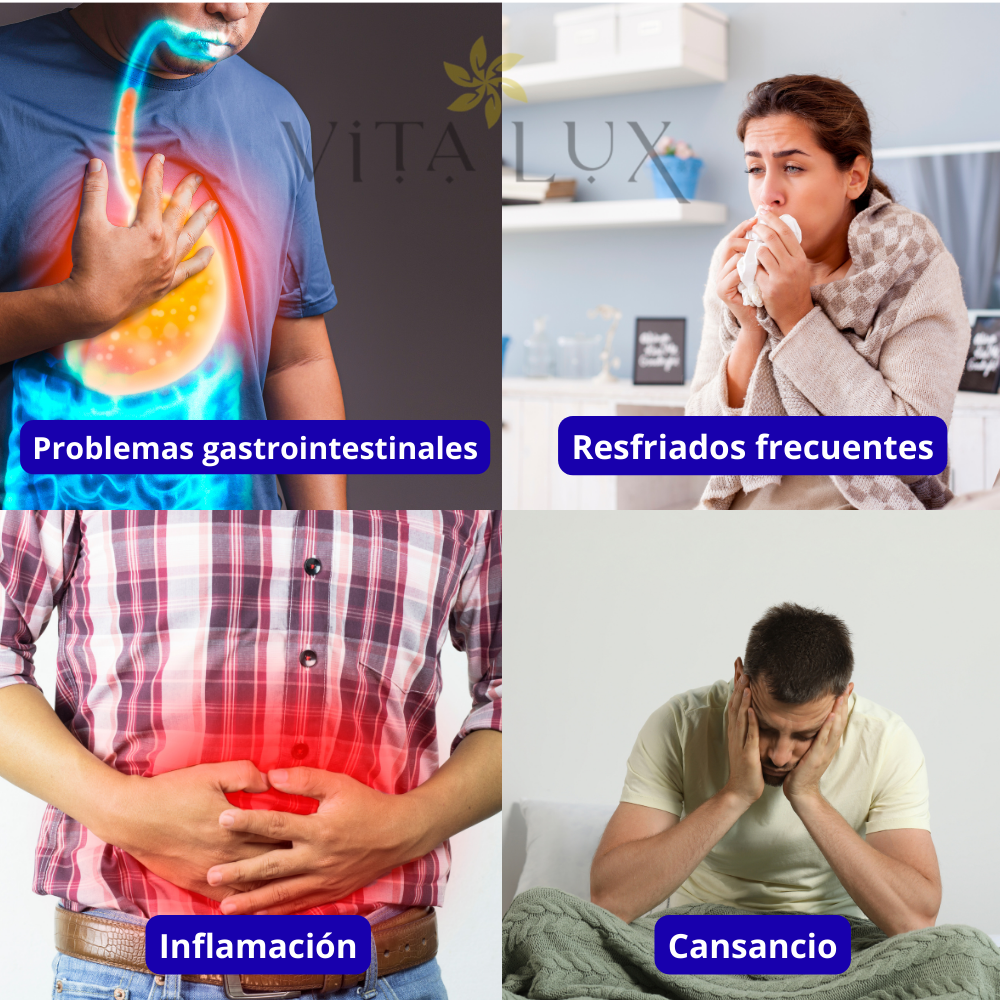 120 Caps Aceite OregaMax™ | Apoya Defensas, Digestión y Limpieza Interna + Combate Bacterias y Hongos + 🎁 Guía “10 Hábitos Naturales para Fortalecer tu Sistema Inmune” + Envío Gratis