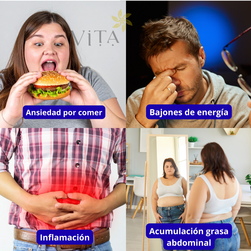 60 Caps GlucoBalance™ – Cápsulas de Apoyo Metabólico para el Equilibrio del Azúcar en Sangre | Energía Estable, Menos Antojos y Control Diario + 🎁 15 Recetas Deliciosas para Apoyar el Control del Azúcar sin Dejar de Disfrutar + Envío Gratis