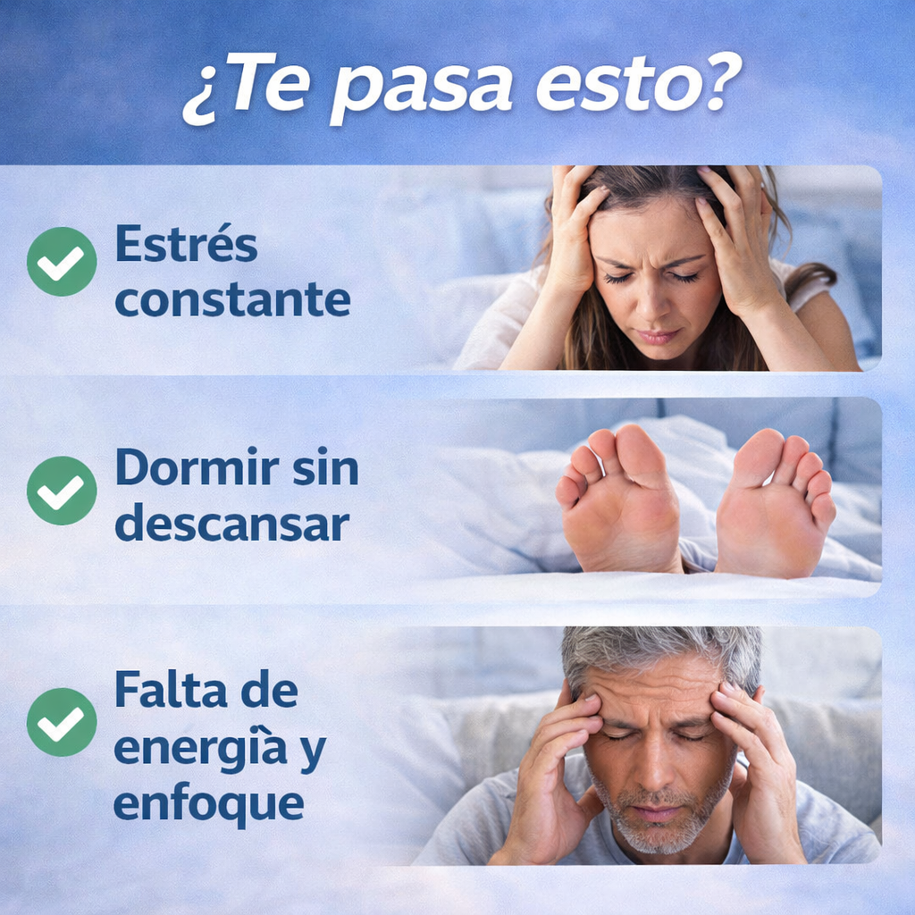 90 Caps KSM-66 Ashwagandha 4800mg – Reduce el Estrés y Mejora tu Descanso | Energía y Enfoque Sin Ansiedad + 🎁 Rutina Nocturna Antiestrés GRATIS + Envío Gratis